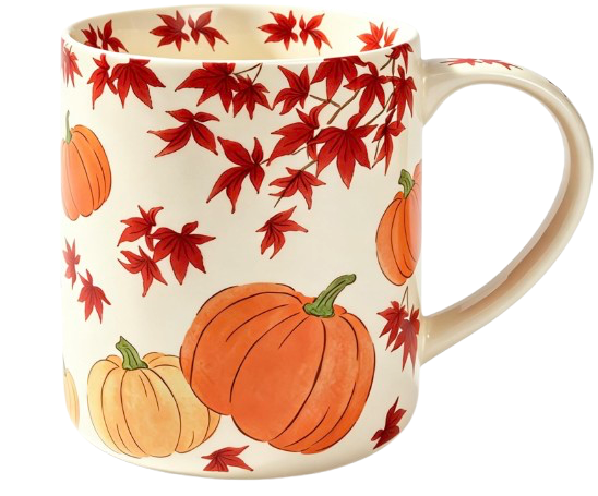 18 oz Large Ceramic Pumpkin Floral Mug